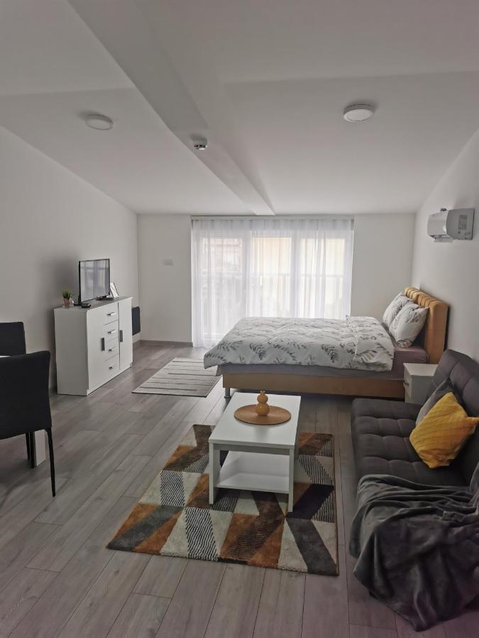Studio Apartmani Banja Koviljaca Banja Koviljača Exterior foto