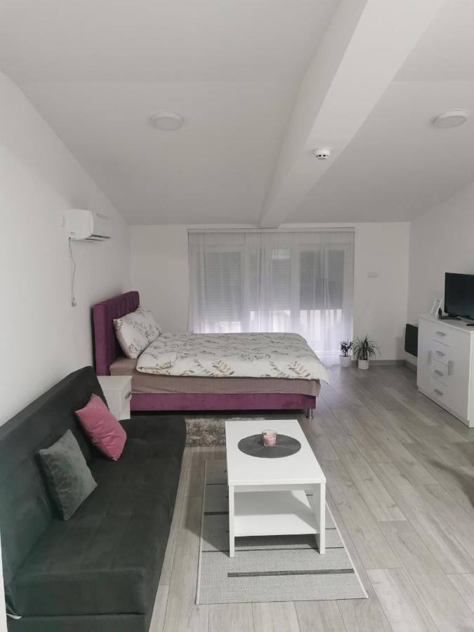 Studio Apartmani Banja Koviljaca Banja Koviljača Exterior foto