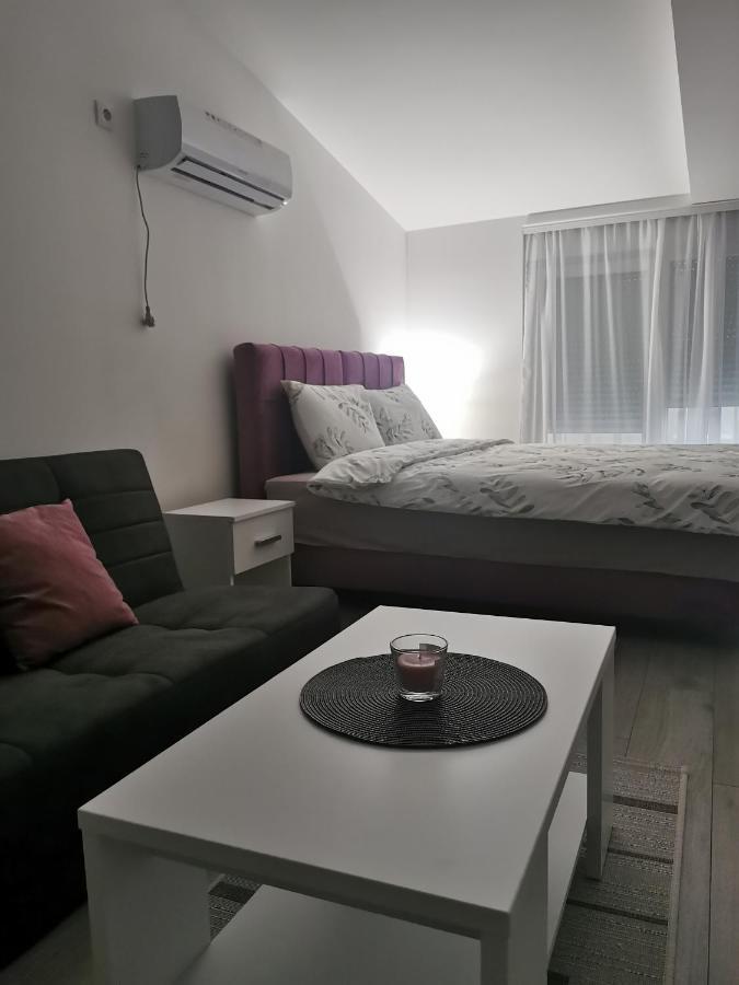 Studio Apartmani Banja Koviljaca Banja Koviljača Exterior foto