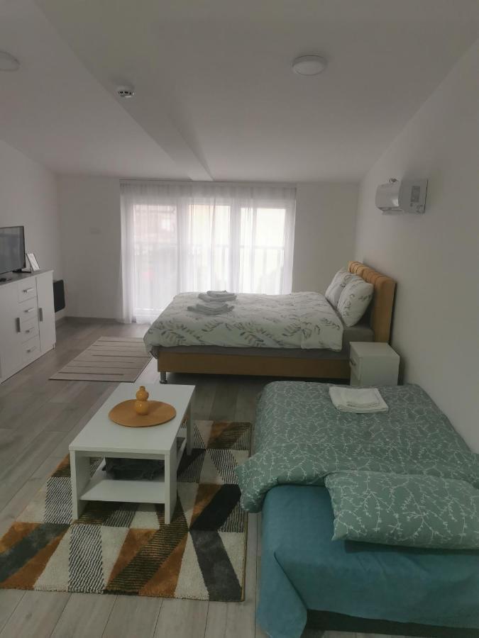 Studio Apartmani Banja Koviljaca Banja Koviljača Exterior foto