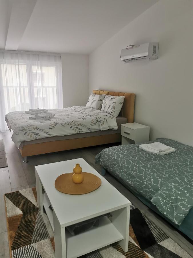 Studio Apartmani Banja Koviljaca Banja Koviljača Exterior foto
